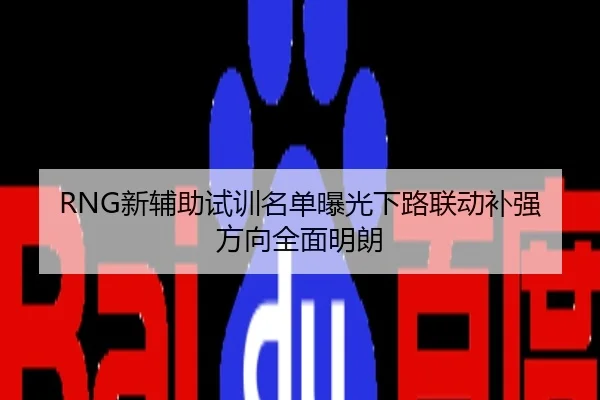 RNG新辅助试训名单曝光下路联动补强方向全面明朗